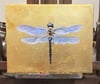 Gilded Blue-Eyed Darner Dragonfly Original Oil Painting