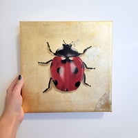 Image 1 of Gilded Lady Bug Original Oil Painting