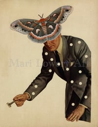 Moth Problem 8 x 10 Inch Surreal Masculine Art Paper Collage Print