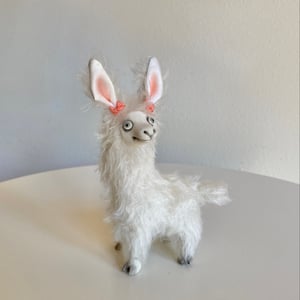 Image of Gracie the Tiny Llama