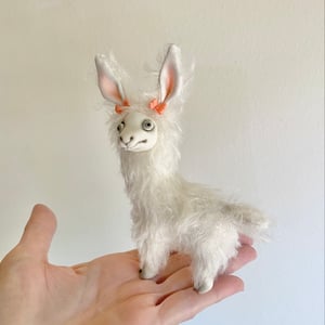 Image of Gracie the Tiny Llama