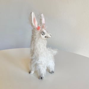 Image of Gracie the Tiny Llama