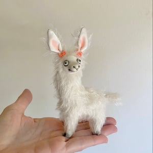 Image of Gracie the Tiny Llama