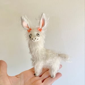 Image of Gracie the Tiny Llama