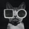 Mr. Cool 8.5 x 11 Inch Black and White Mod Cat in Retro Sunglasses Paper Collage Art Print