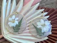 Image 3 of Larkspur and Capiz Shell Earrings