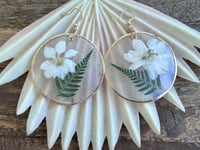 Image 1 of Larkspur and Capiz Shell Earrings
