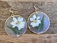 Image 2 of Larkspur and Capiz Shell Earrings