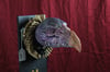 Skeksis #2