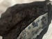Image of Animated Dogs Fanny Pack
