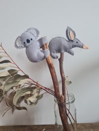 Image 3 of Native Marsupials 