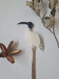 Image 2 of Native Avian 2.0 