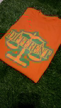 Image 3 of FAMU EDITION "DIFFERENT" T-shirt + Hat Sets