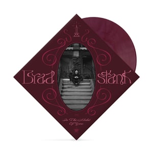 Image of Pre Order: Brad Stank - In The Midst of You (Vinyl)