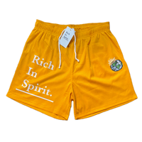  RIS MESH SHORTS 