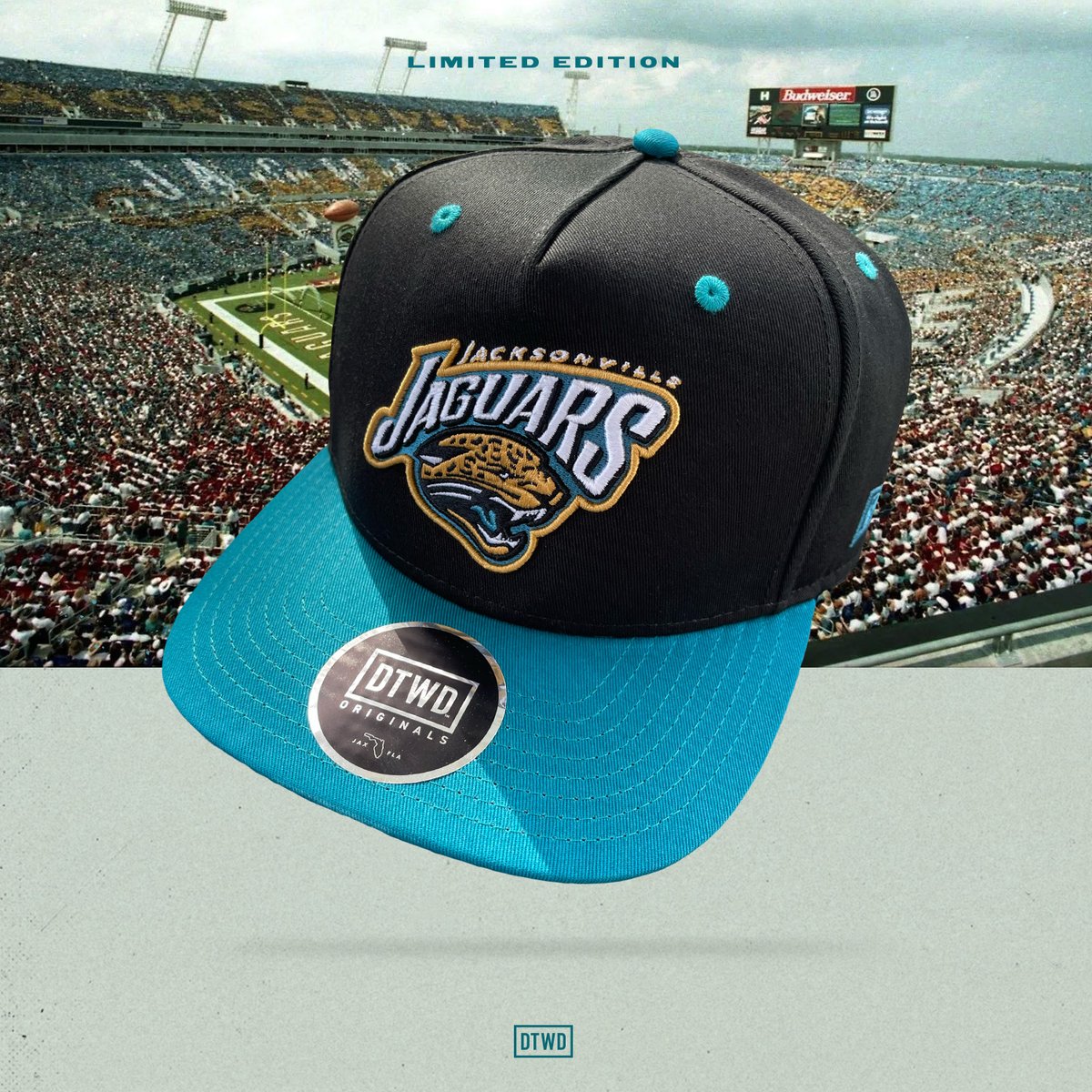DTWD  Teal