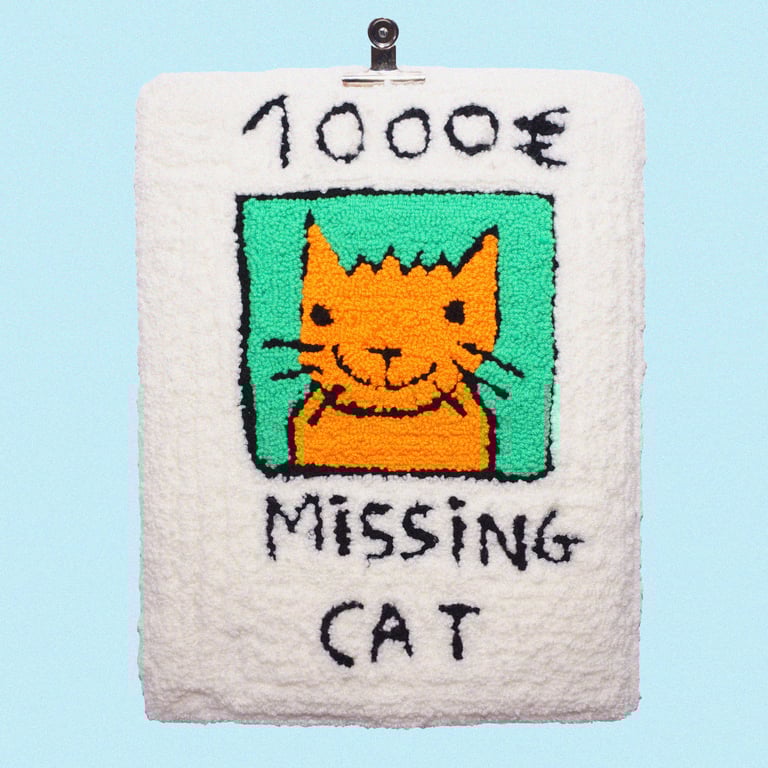 Missing cat Image 2