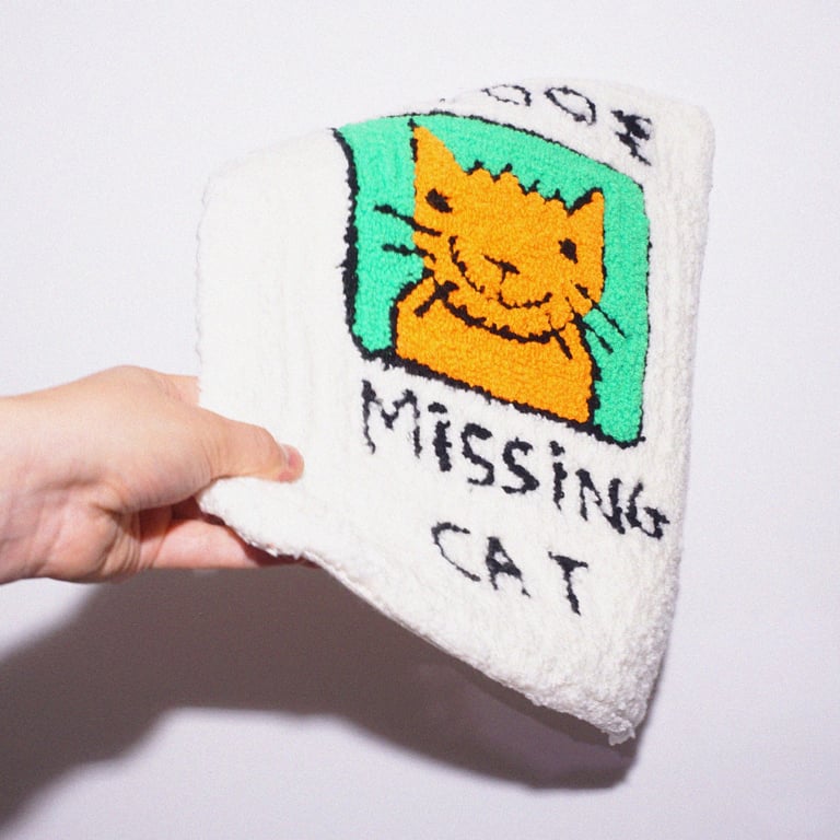 Missing cat Image 5
