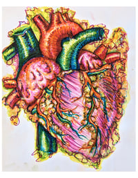 Colorful Anatomical Heart Art Print 8.5x11 inches