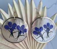 Image 2 of Lobelia on Capiz Shell Earrings