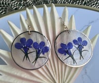 Image 4 of Lobelia on Capiz Shell Earrings
