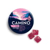 Camino Gummies Wild Berry