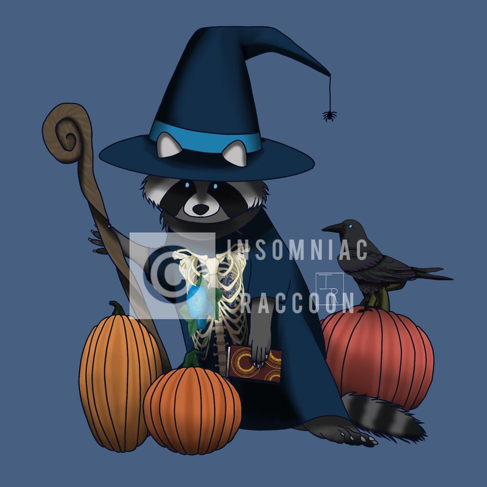 Image of Halloween Witch Raccoon
