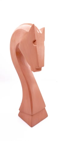 Image 2 of Cavallo napoletano