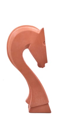 Image 1 of Cavallo napoletano