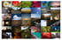 Tiny print Image 3