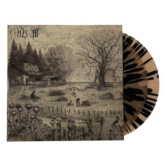 Image of "Prosaic" 2LP