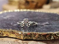 Image 1 of Paws Ring