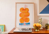 Image 1 of Valencia Oranges