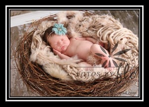 Image of Organic Realistic Birds Nest Photo Prop-Material option A. 