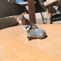Coyote and Badger