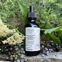 Image 2 of Elder ↠ berries and flowers 