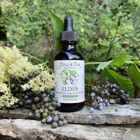 Image 1 of Elder ↠ berries and flowers 