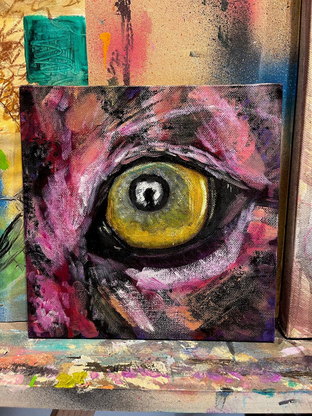 Watchful -Cougar Eye