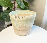 Image 2 of Sea foam Planter