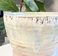 Image 5 of Sea foam Planter