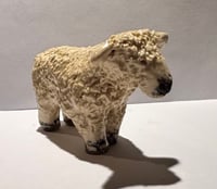 Greyface Dartmoor sheep