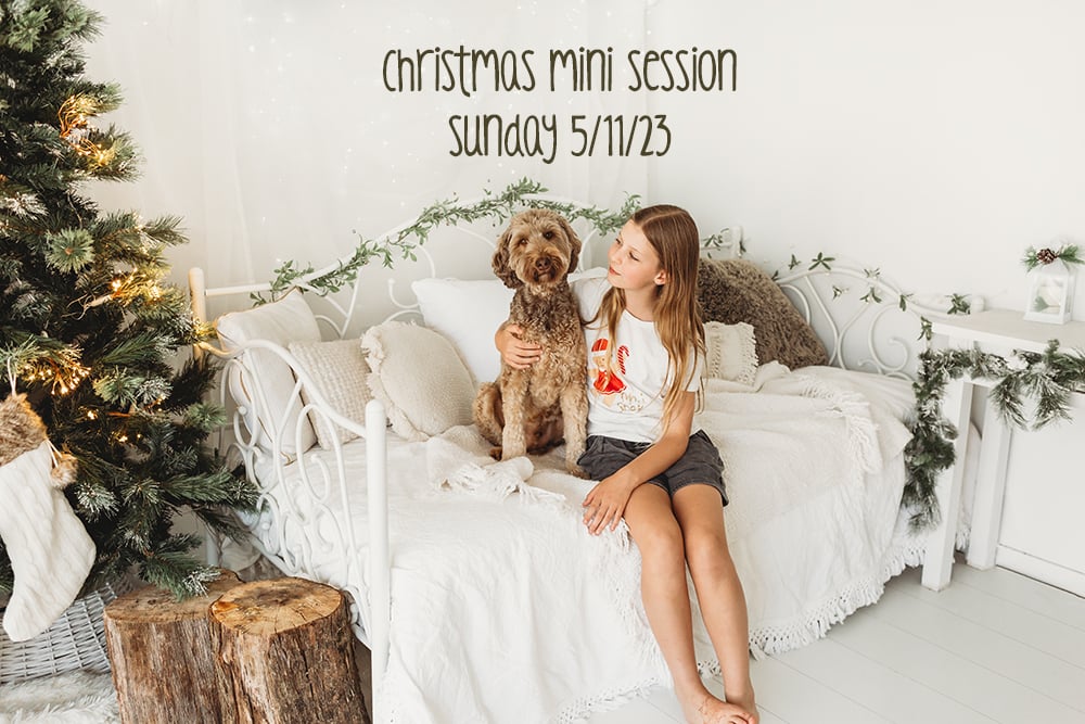 Image of Xmas Mini Session - Sunday 5/11/23