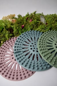 Image 2 of Drain Covers