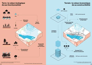 TERRE TERRAIN TERRITOIRE