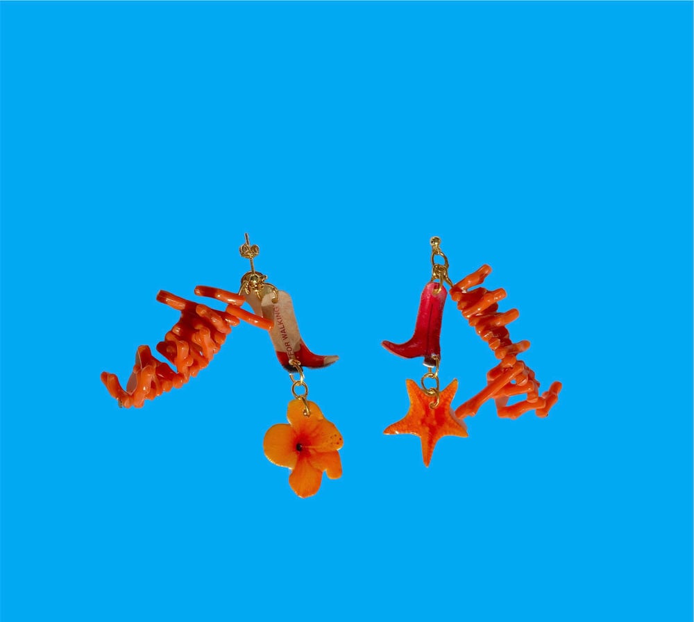 Image of starfish slip