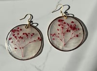 Image 5 of Dyed Baby's Breath on Capiz Shells
