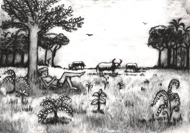 Jungle Book Greetings Cards Pack