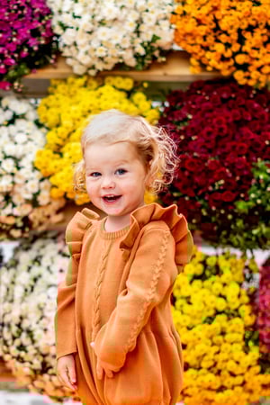 Image of Fall MUM WALL Minis 2023!!