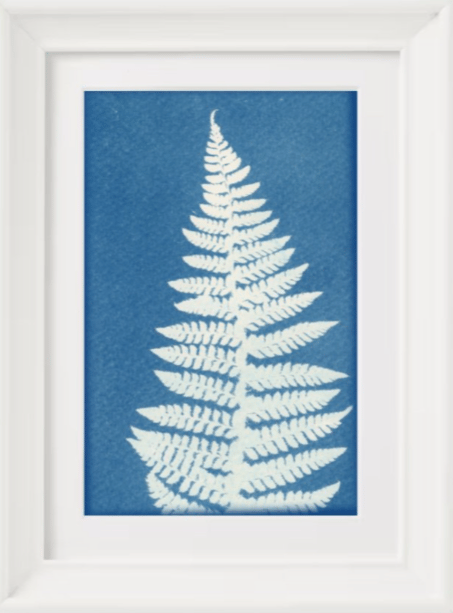 Image of Fern print