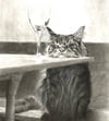After Work - Charcoal on White Paper - 9x12